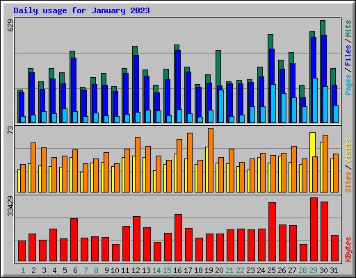 Daily usage for January 2023
