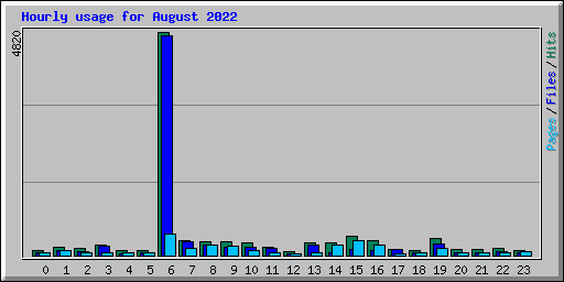 Hourly usage for August 2022