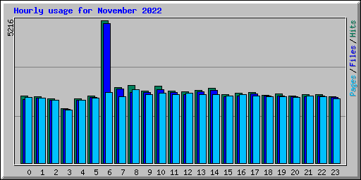 Hourly usage for November 2022
