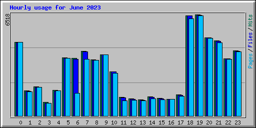 Hourly usage for June 2023